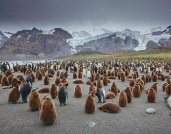 Image 1-24-25 at 12.14 PM